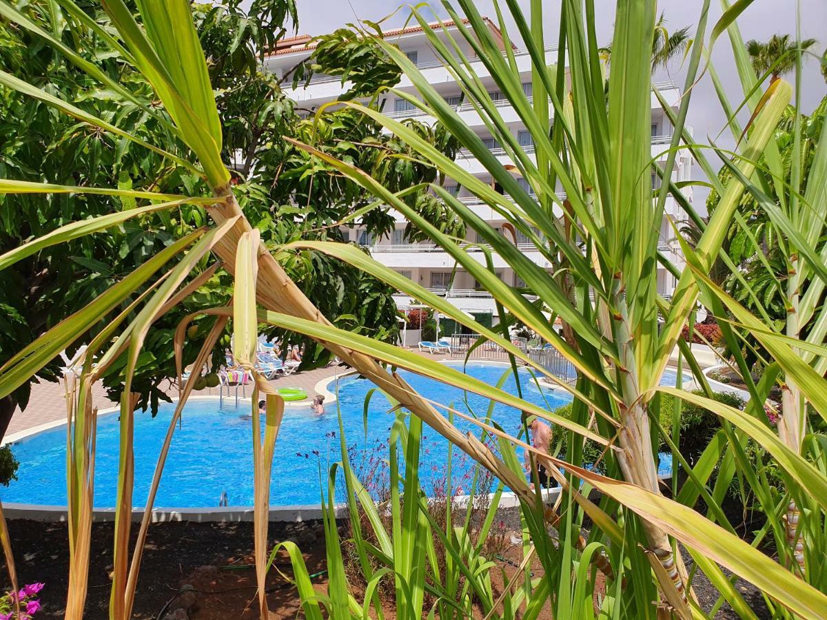 Spectacular Renovated Apartment, 5 Min To Camison Beach, With Aircon Arona  Exterior foto