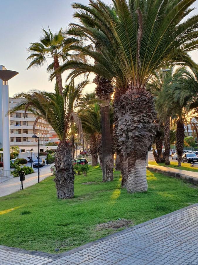 Spectacular Renovated Apartment, 5 Min To Camison Beach, With Aircon Arona  Exterior foto